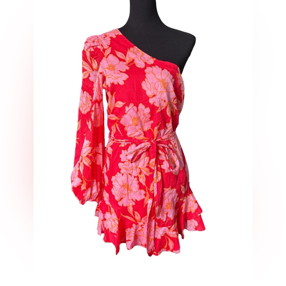 Olivaceous One Shoulder Ruffle Hem Mini Dress, Size Large, Red & Pink Floral